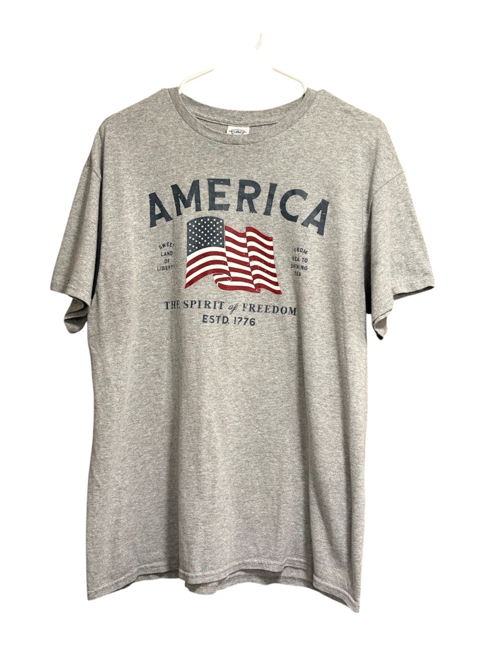 Delta Pro weight | America Flag Graphic T-Shirt | Gray | Large | GUC